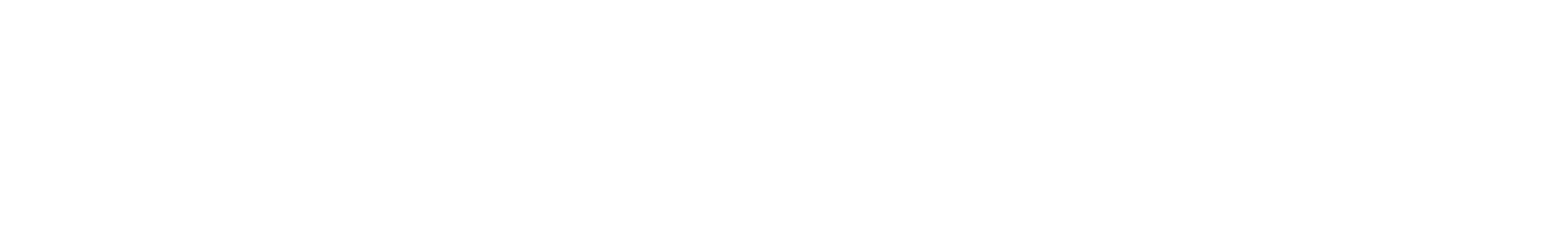 Light Logo